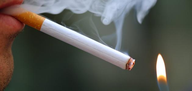 اثر التدخين في تلويث البيئة المنزلية مختصر