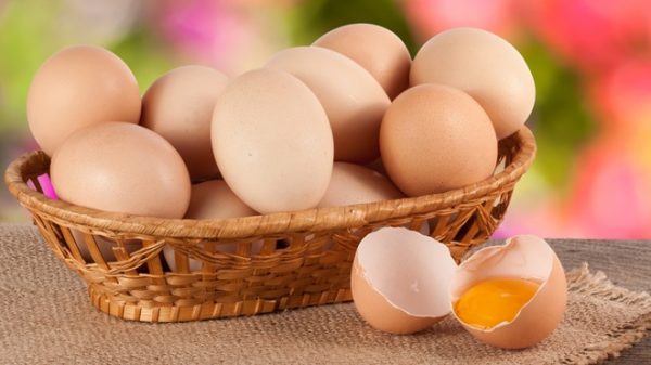 تفسير رؤية جمع البيض في المنام للعزباء