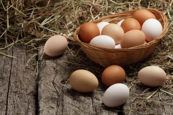 جمع البيض في المنام لابن سيرين
