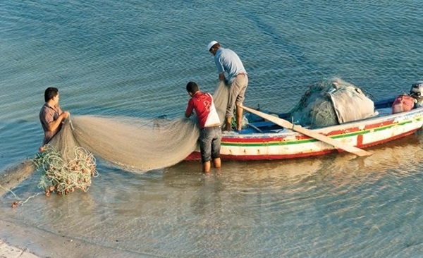 تفسير حلم صيد السمك بالشبكة