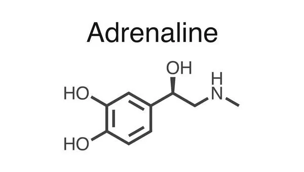 أدرينالين Adrenaline